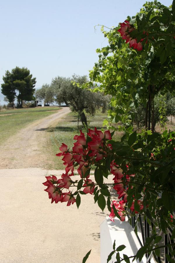 Villa Vlichos Amarynthos Zewnętrze zdjęcie