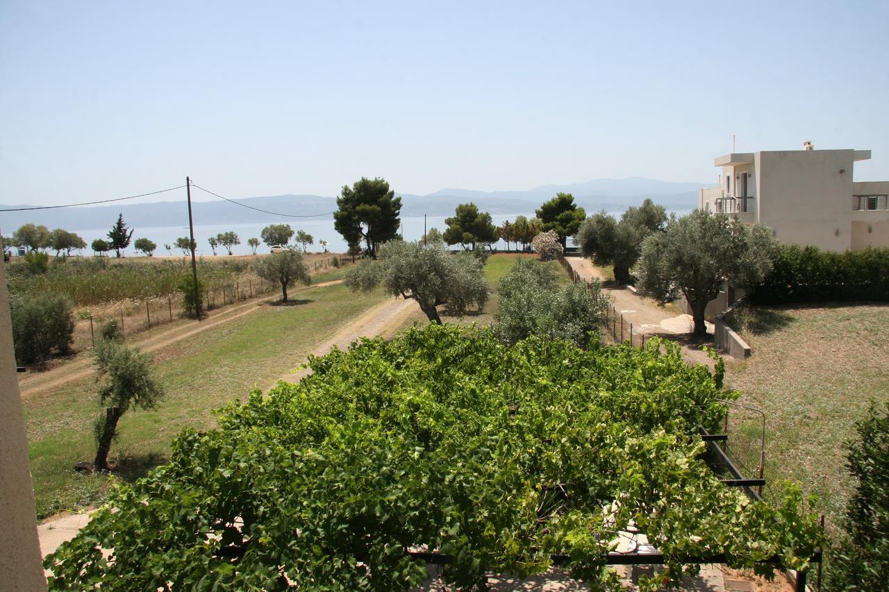 Villa Vlichos Amarynthos Zewnętrze zdjęcie