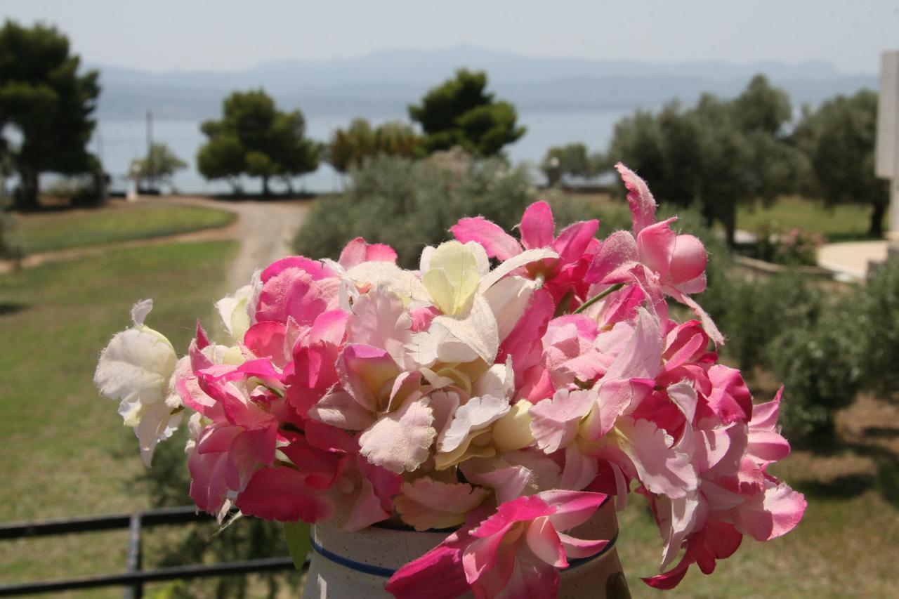 Villa Vlichos Amarynthos Zewnętrze zdjęcie