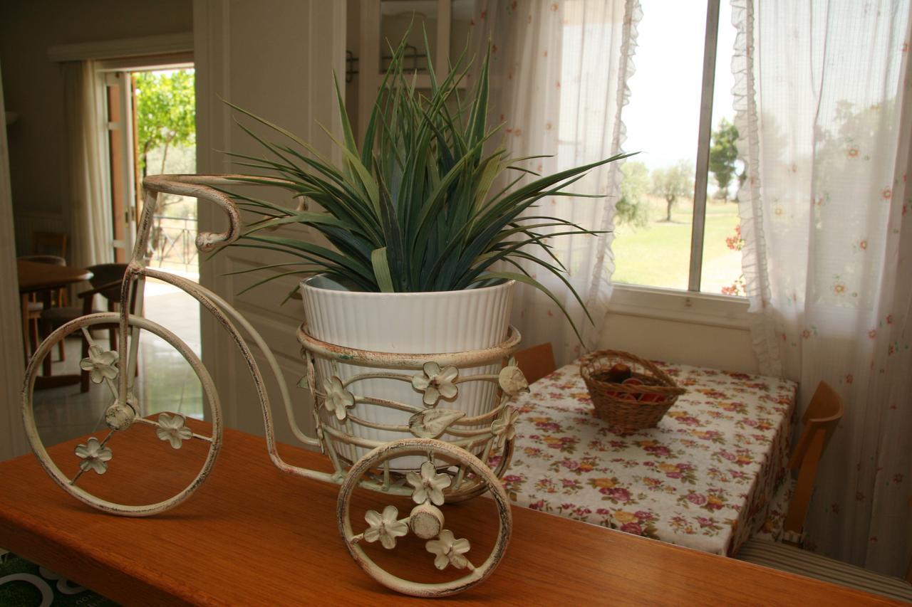 Villa Vlichos Amarynthos Zewnętrze zdjęcie