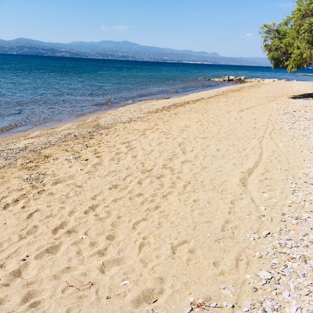 Villa Vlichos Amarynthos Zewnętrze zdjęcie
